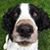 Tami Duncan-Fleming's profile image