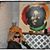 Diane Waite's profile image