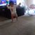 Rani T Ali's profile image