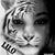 Lilo Rose's profile image