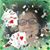Cora Selvey's profile image