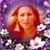 Dee Shuck's profile image