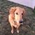 Trudi-Lon Clark's profile image