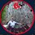Don Martin's profile image