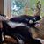 Kellie Ashley's profile image