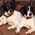 David Curtis Sr.'s profile image