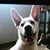 Debra Wyatt's profile image
