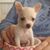 Kathleen Hetzer's profile image