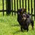 Dorothy Hine's profile image