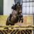 Christy Branneky Dean's profile image