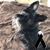 Nancy Vela's profile image