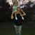 Chelsea Shelton's profile image