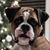 Cathy Whitty's profile image