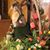 Judy Auger's profile image