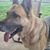 Juanita Coyner's profile image
