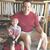 James Haworth's profile image