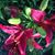Reba Grube's profile image