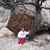 Carolyn Prescott Erb's profile image