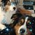 Libby Vasiliou's profile image
