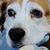 Kathy Pane's profile image
