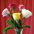Lori Kuennen Behrens's profile image