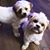 Kellyand David Price's profile image