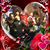 Donna OchsWilliams Hall's profile image
