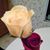 Sheri Kaye DeHaven's profile image
