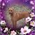 Cynthia Doran Cobb's profile image