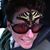 Jan Groh's profile image