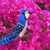 Lisa Leavitt's profile image