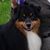 Georgianne Balcas Doyle's profile image