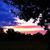 Ken Rhoads's profile image