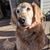 Chris Loutzenheiser's profile image
