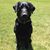 Dean Meissner's profile image
