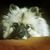 Karen Kowalkowski Guc's profile image
