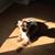 Stephanie Beaudin-Pena's profile image