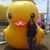 Athenacia Dascomb's profile image