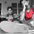 Jose Luis Rojas's profile image