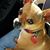 Barbara Bartkowiak Brill's profile image