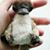 Tania Womack Cole's profile image