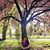 Katherine Irene Casoco's profile image
