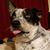 Rhonda Joines's profile image