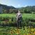 Sarah Elizabeth MacEwen's profile image