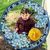 Lesley Nicole Hultquist's profile image