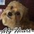 Tanya Forton Cozik's profile image