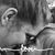 Jodi Melka-Mlynek's profile image