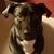 Jason Seracki's profile image