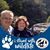 Connie Sherwood's profile image