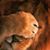 Russell Trivich's profile image